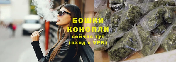 молекула духа Михайлов