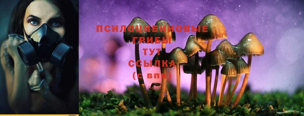 твердый Мегион