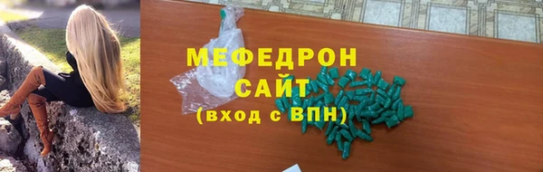 индика Богородицк