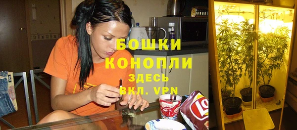 молекула духа Михайлов