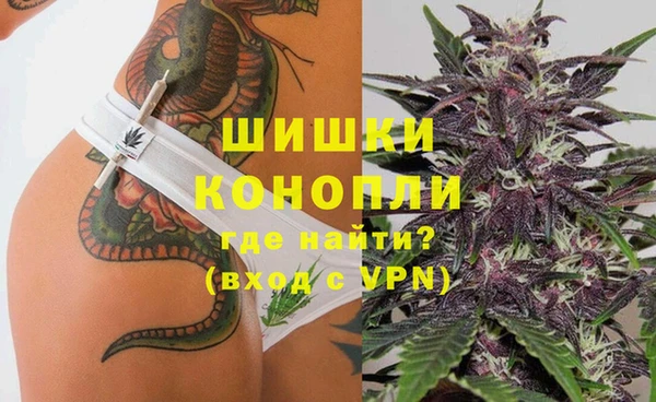 молекула духа Михайлов