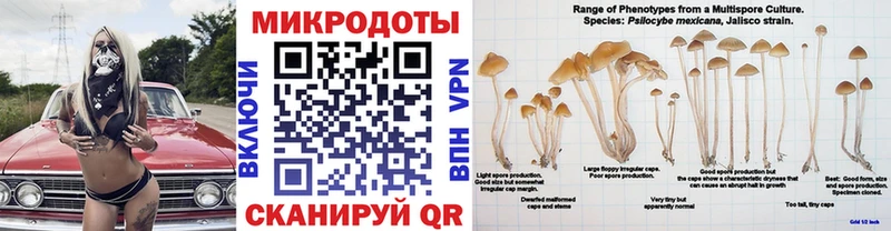 Псилоцибиновые грибы MAGIC MUSHROOMS хочу Надым