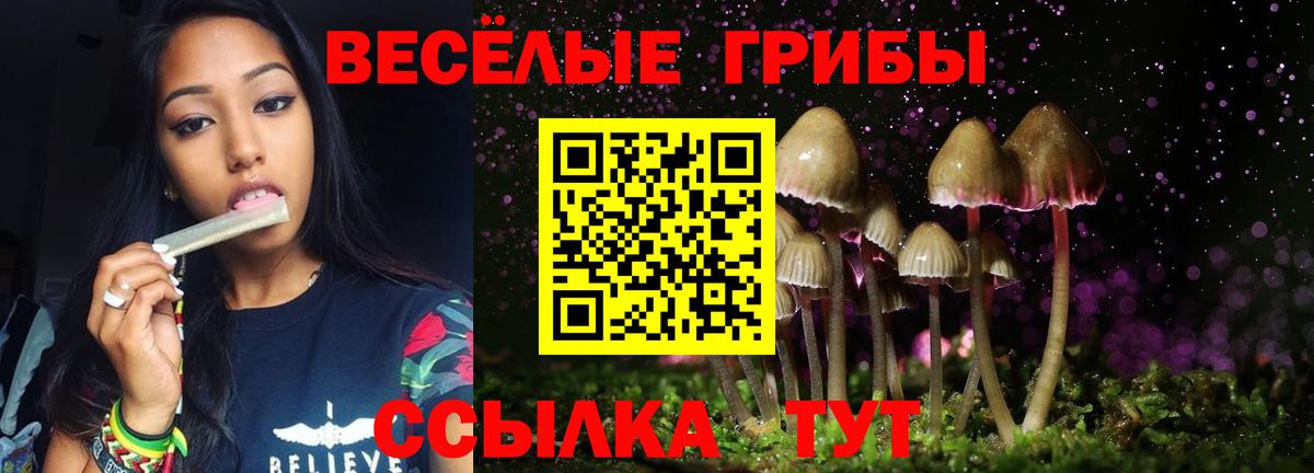 Псилоцибиновые грибы Cubensis Надым