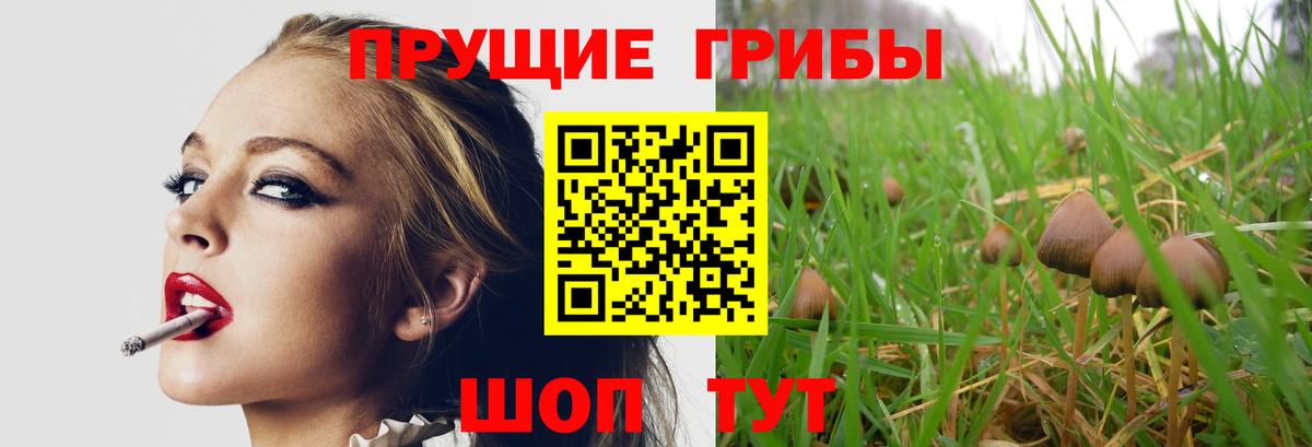 Галлюциногенные грибы ЛСД  купить наркоту  Надым  Вход с VPN 